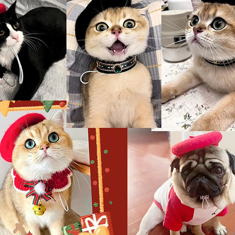 2pcs Pet Hat & Scarf Set, Wool Beret Cap And Adjustable Bowknot Collar Suitable For Cats And Small Dogs