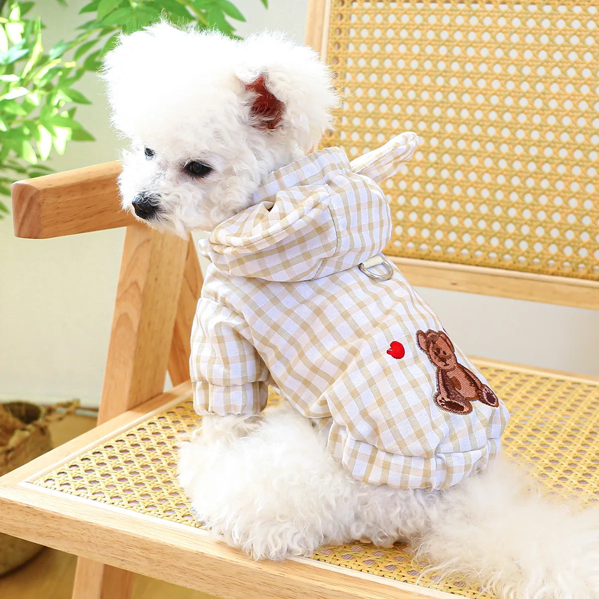 1PC Pet Clothing Cat Spring/Summer Thin Bear Plaid Coat with Traction Buckle Suitable for Small and Medium Dogs