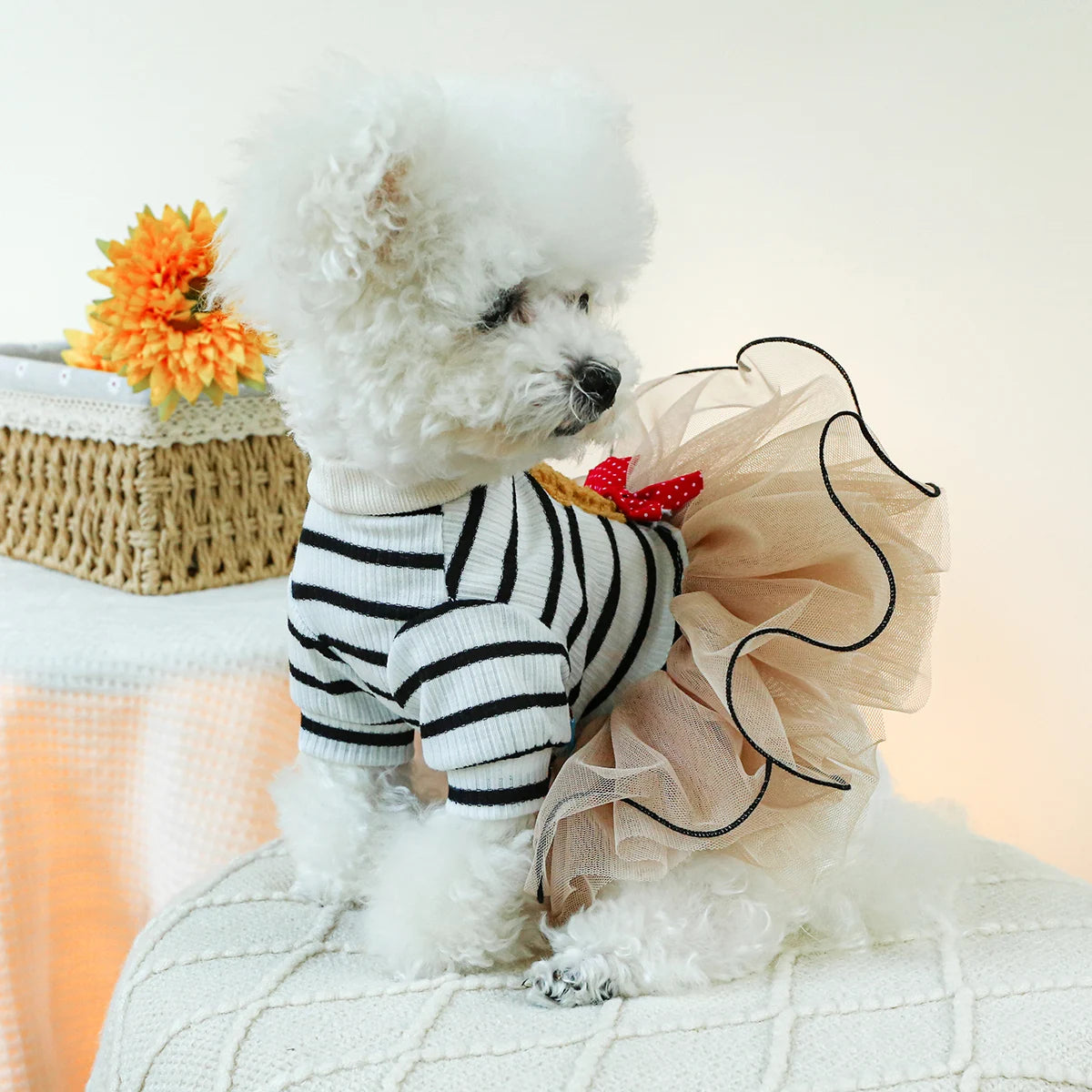 1PC Pet Suit Dog Spring and Autumn Black and White Striped  Bear Princess Dress With Drawstring Buckle For Small Medium Dogs