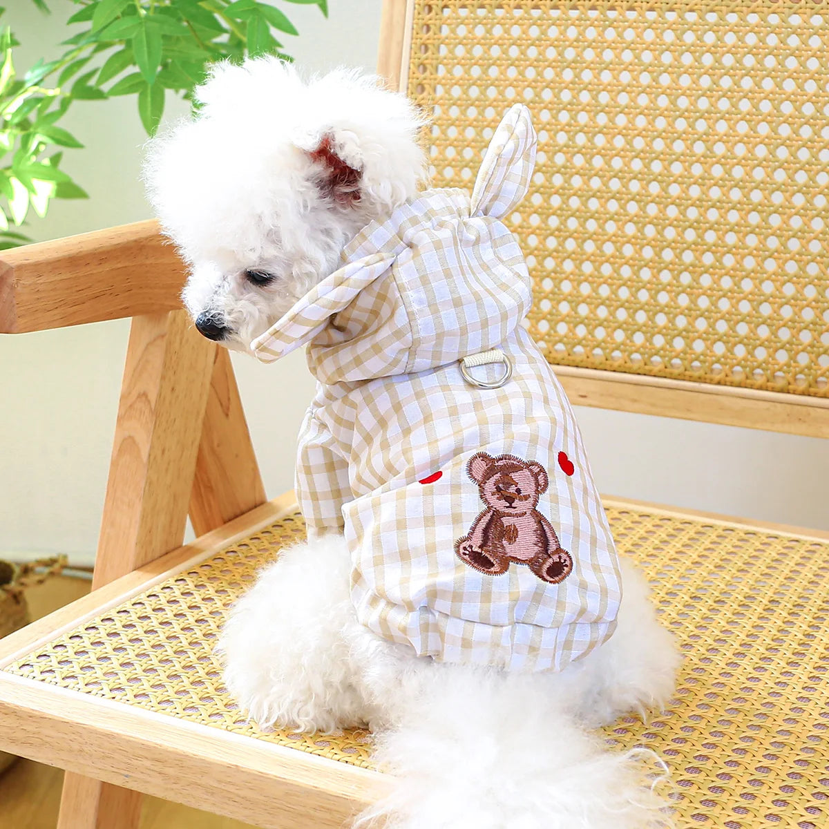 1PC Pet Clothing Cat Spring/Summer Thin Bear Plaid Coat with Traction Buckle Suitable for Small and Medium Dogs