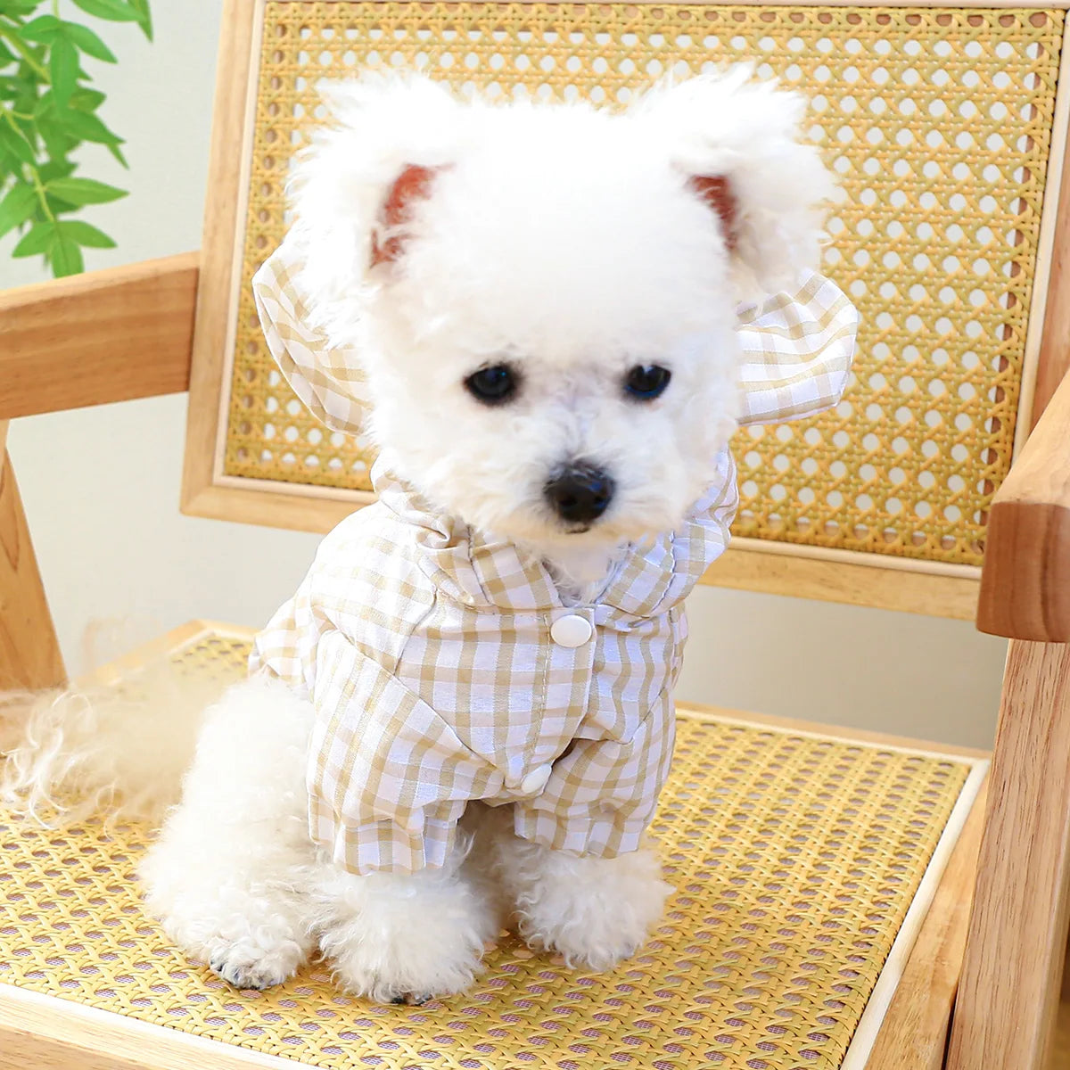 1PC Pet Clothing Cat Spring/Summer Thin Bear Plaid Coat with Traction Buckle Suitable for Small and Medium Dogs